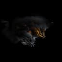 ashen_beast